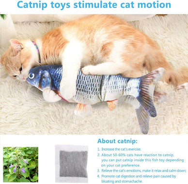 Transform Your Cat's Playtime Journey